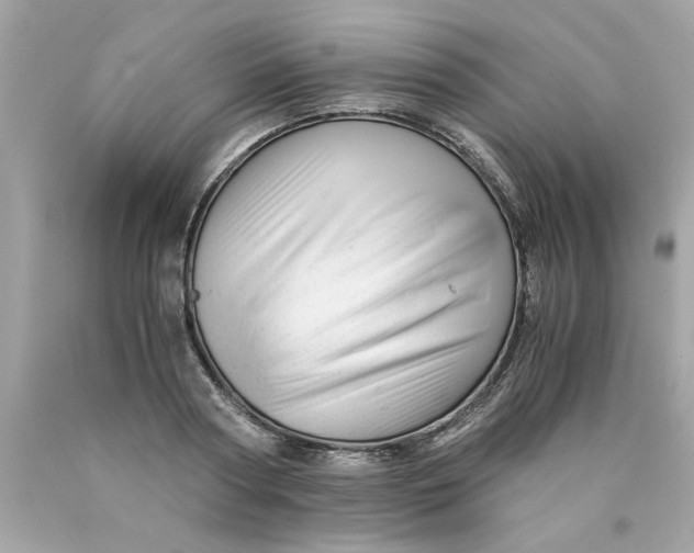 X0000089950794200707201924