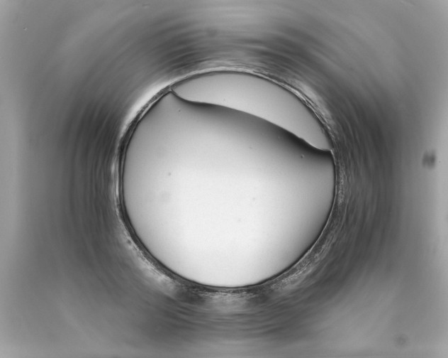 X0000089950796200707201924