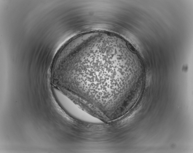 X0000089950798200707201924