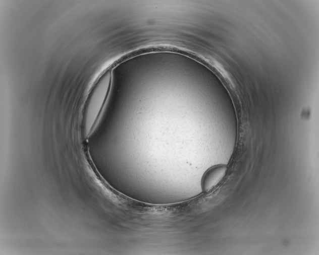 X0000089950799200707201924