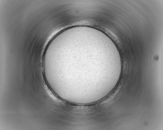 X0000089950800200707201924