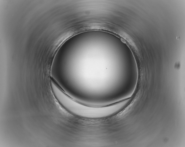 X0000089950801200707201924