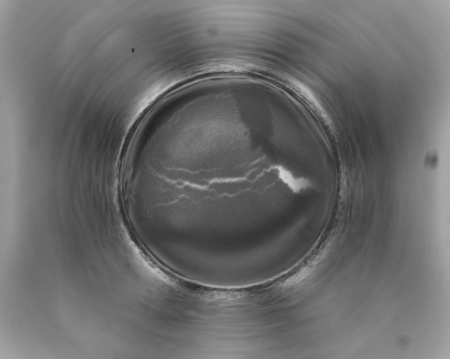 X0000089950802200707201924