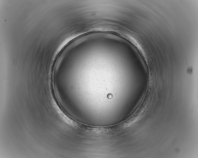 X0000089950803200707201924