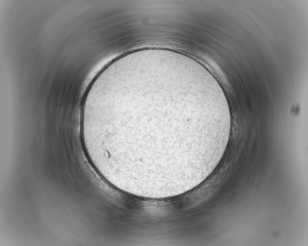 X0000089950804200707201924