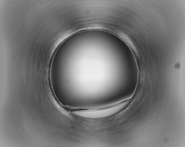 X0000089950805200707201924