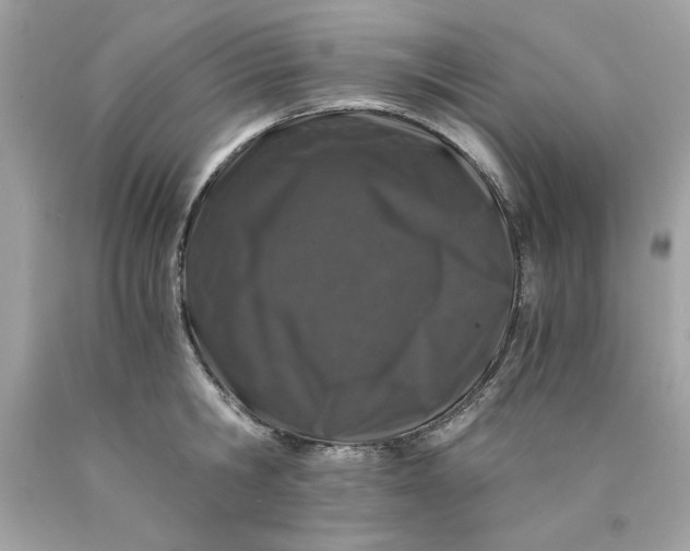 X0000089950806200707201924