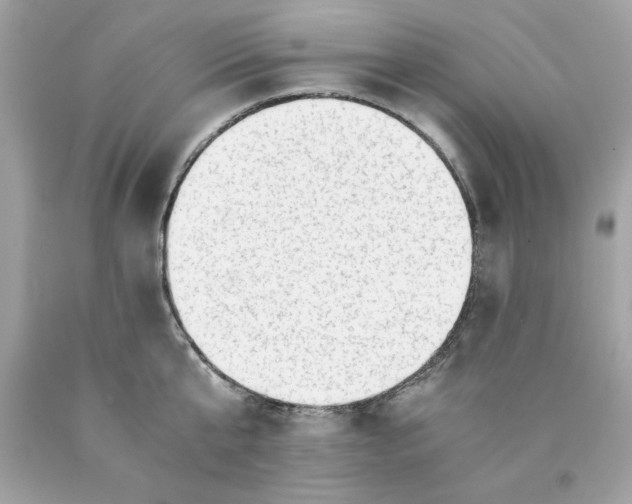 X0000089950807200707201924