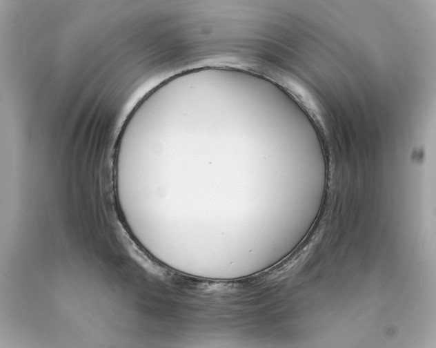 X0000089950808200707201924