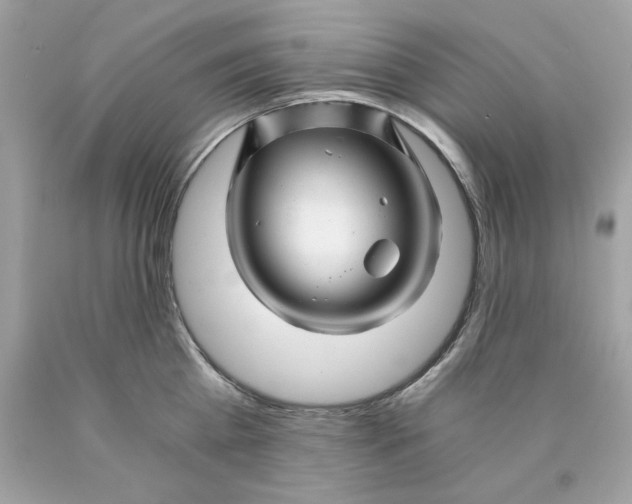 X0000089950809200707201924