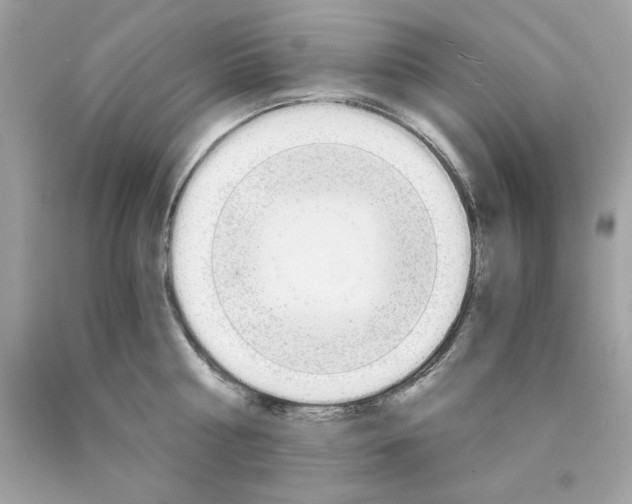 X0000089950810200707201924