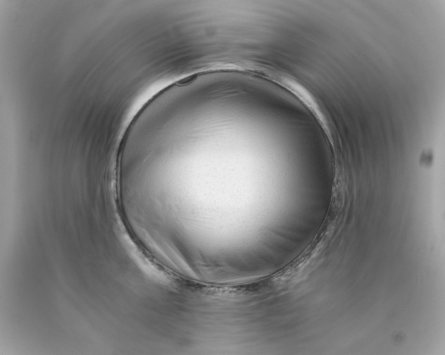 X0000089950811200707201924