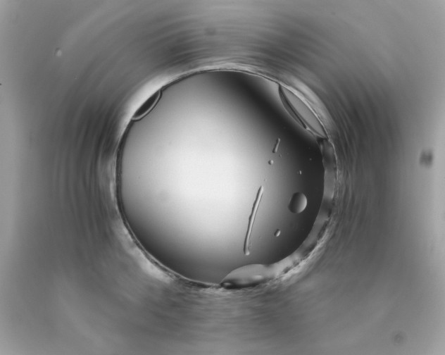 X0000089950812200707201924