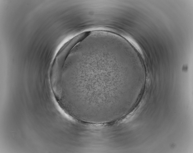 X0000089950813200707201924