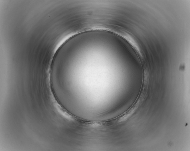 X0000089950814200707201924