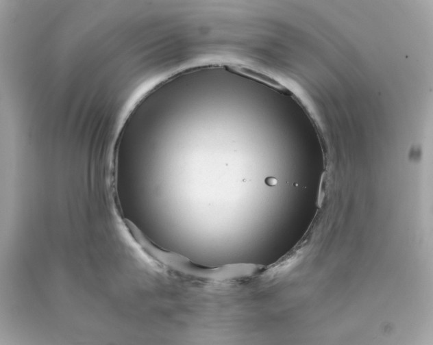 X0000089950815200707201924