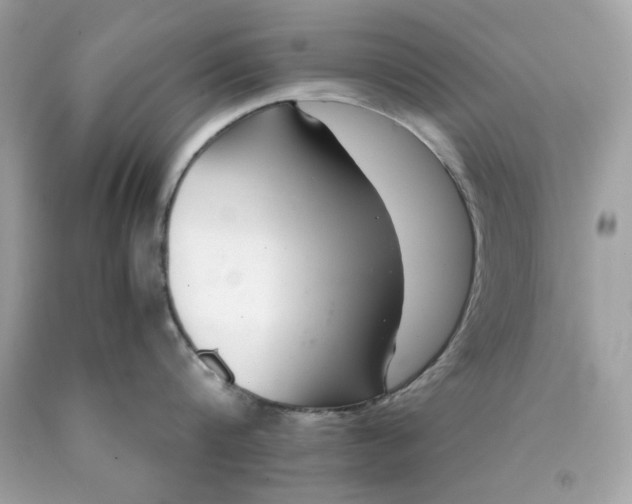 X0000089950816200707201924