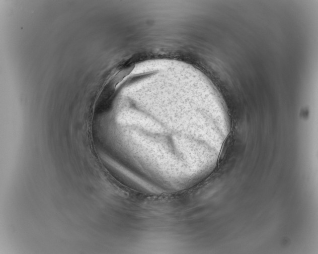 X0000089950817200707201923