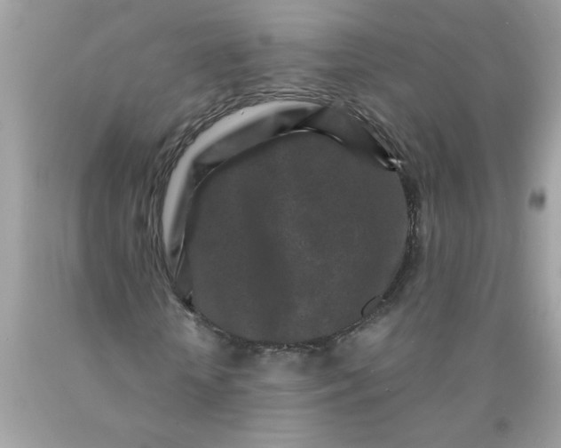 X0000089950818200707201923