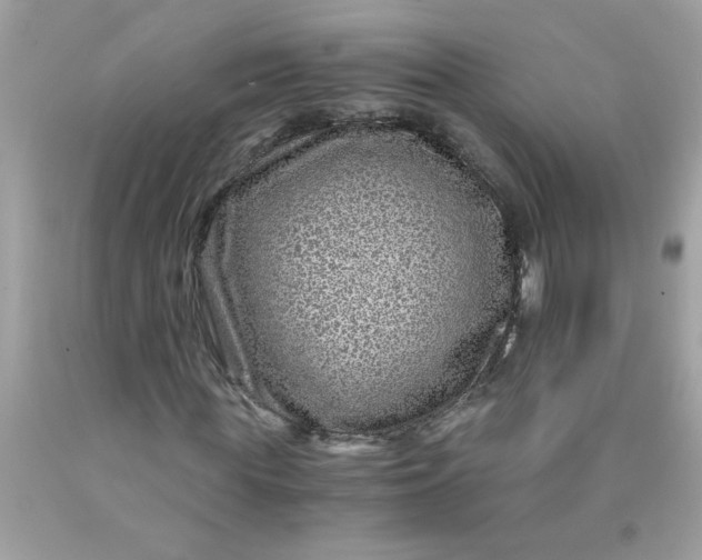 X0000089950819200707201923