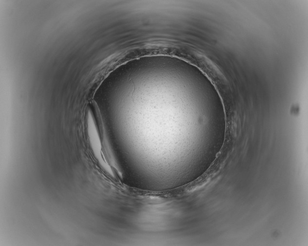 X0000089950821200707201923