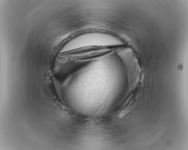 X0000089950822200707201923