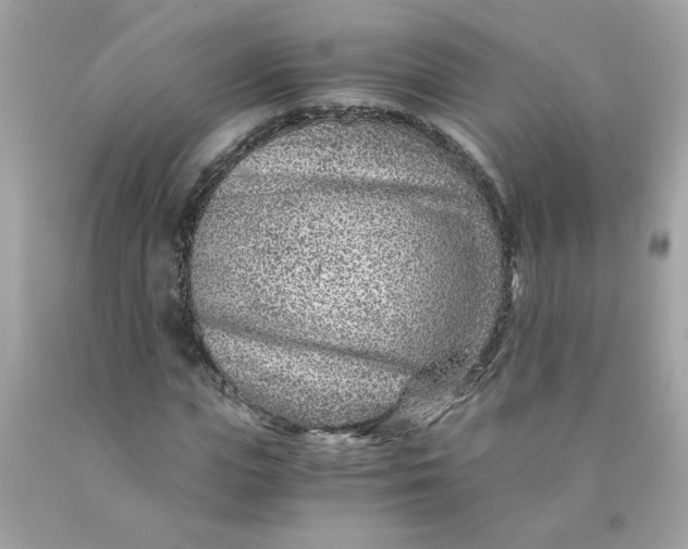 X0000089950823200707201923