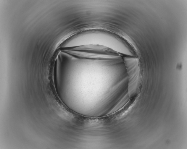 X0000089950826200707201923