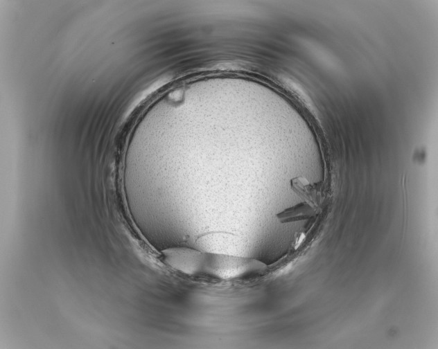 X0000089950827200707201923