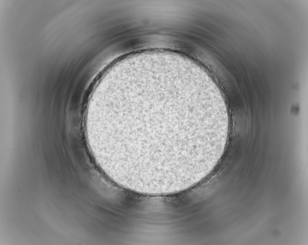 X0000089950828200707201923