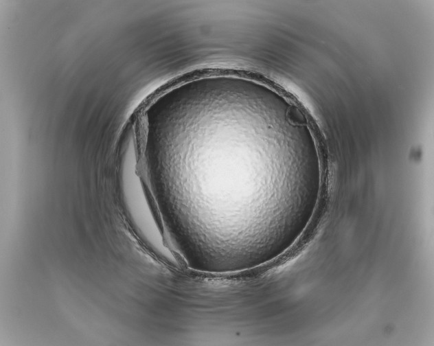 X0000089950829200707201923