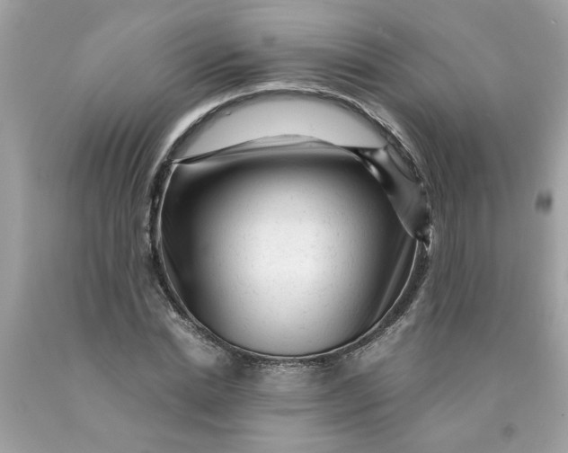 X0000089950830200707201923