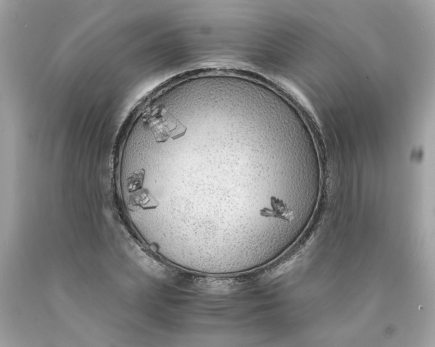 X0000089950831200707201923