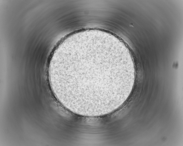 X0000089950832200707201923