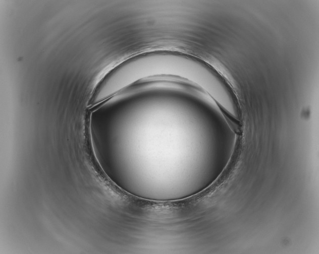 X0000089950834200707201923