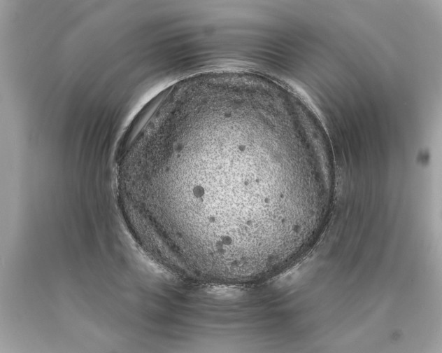 X0000089950835200707201923