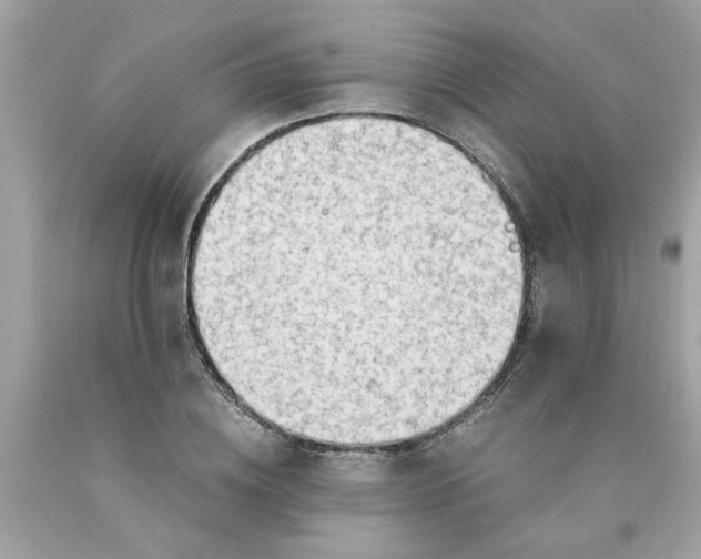 X0000089950836200707201923