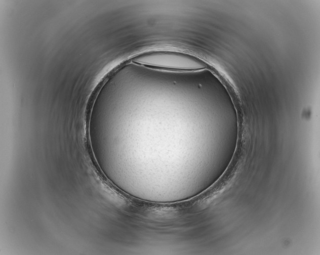 X0000089950837200707201923