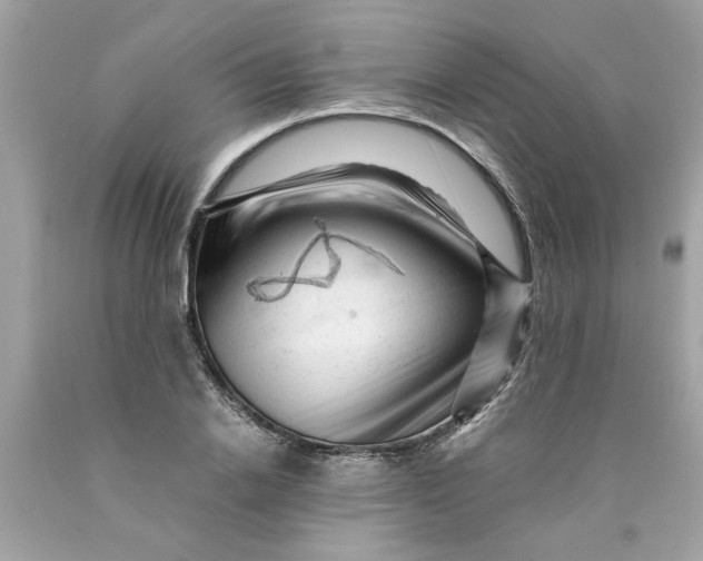 X0000089950838200707201923