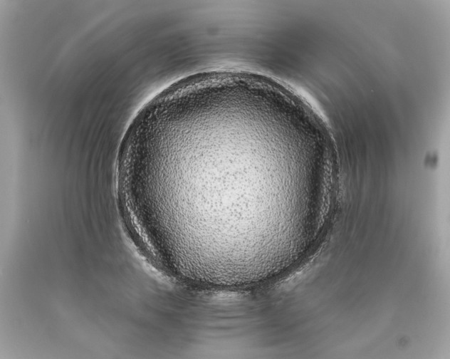 X0000089950839200707201923