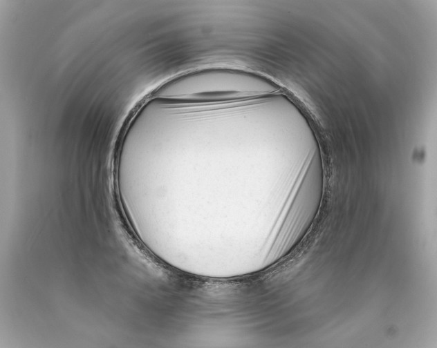 X0000089950840200707201923