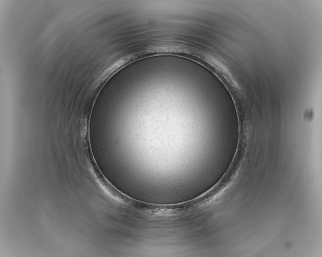 X0000089950841200707201923