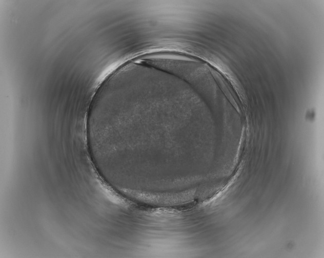 X0000089950842200707201923