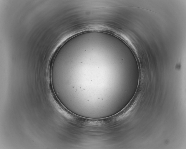 X0000089950843200707201923