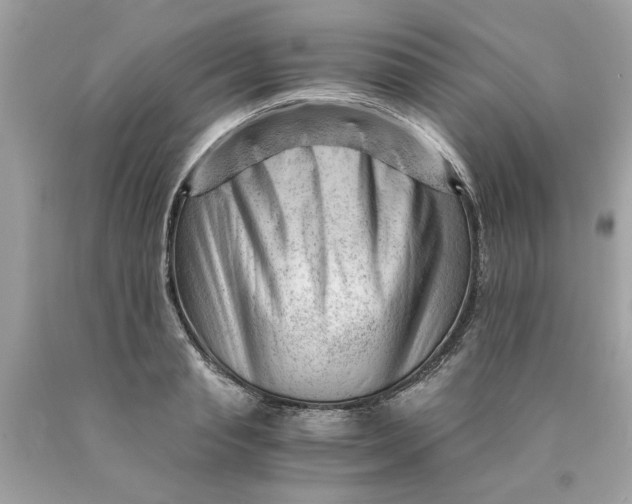 X0000089950845200707201923