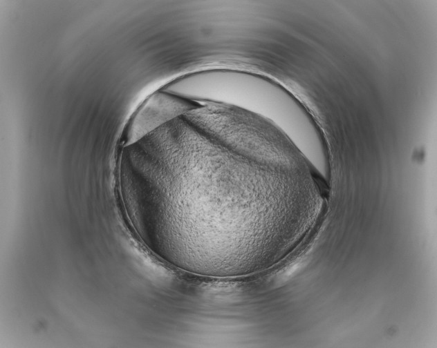 X0000089950846200707201923