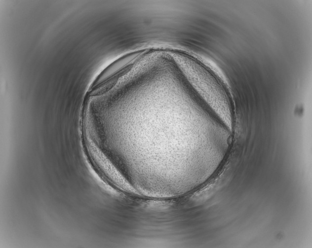 X0000089950847200707201923