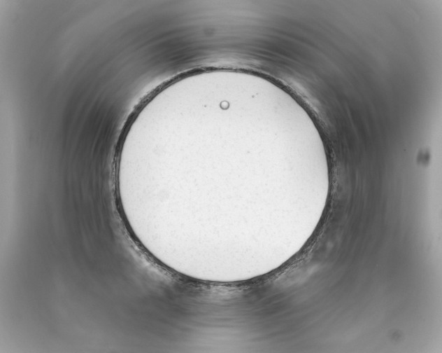 X0000089950848200707201923