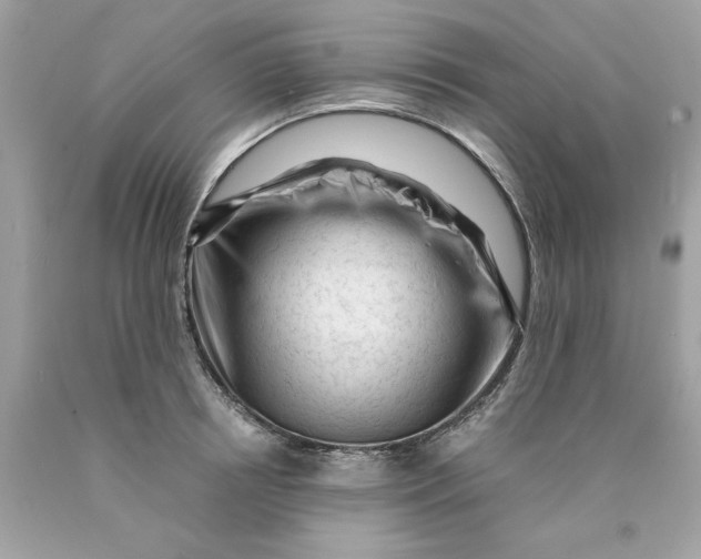 X0000089950850200707201923