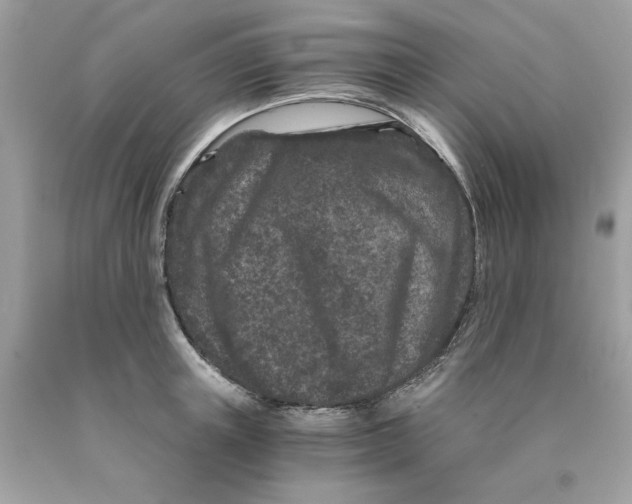 X0000089950851200707201923